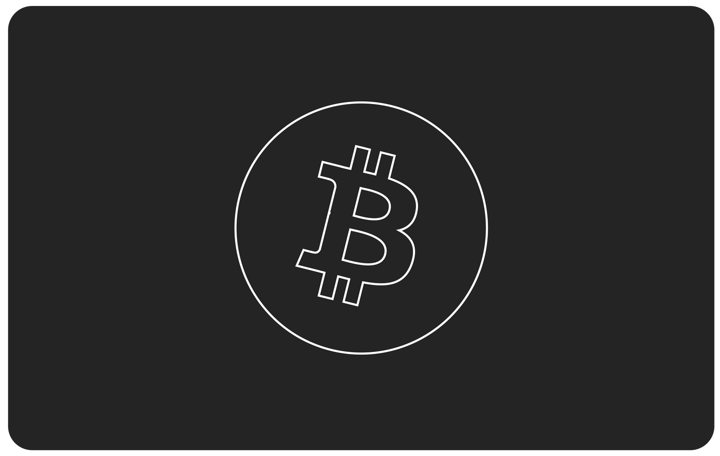 Bitcoin Wallet Card